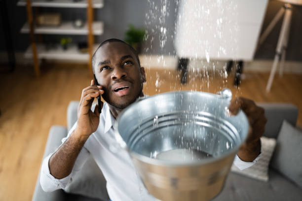 Best Water damage contractors near me  in Clatskanie, OR