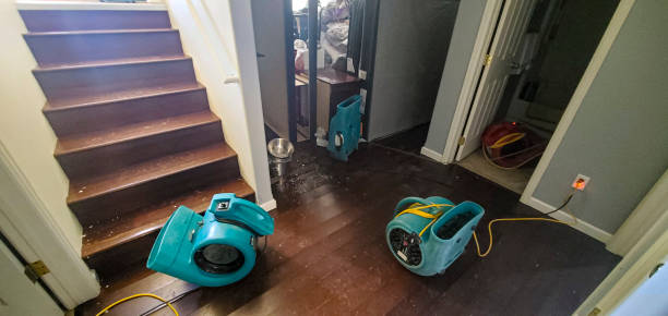 Best Water damage mitigation services  in Clatskanie, OR