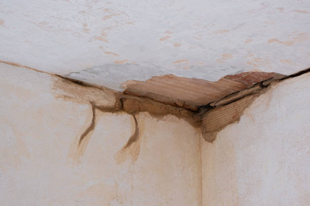 Best Basement water damage restoration  in Clatskanie, OR