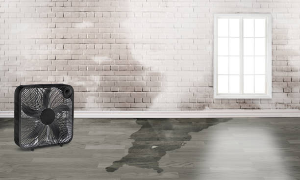  Clatskanie, OR Water damage restoration Pros
