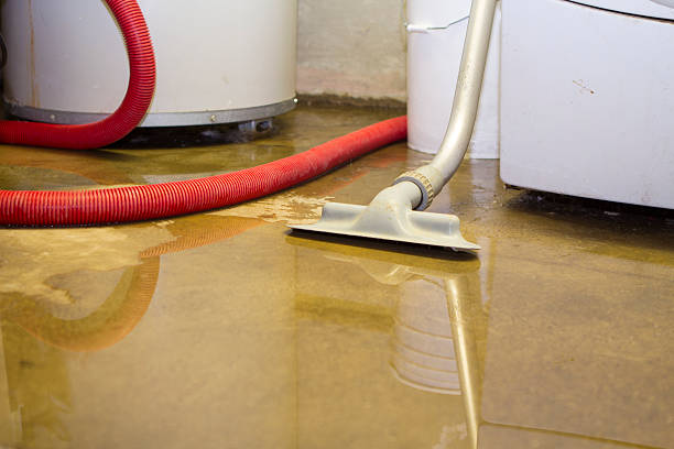 Best Mold removal after water damage  in Clatskanie, OR